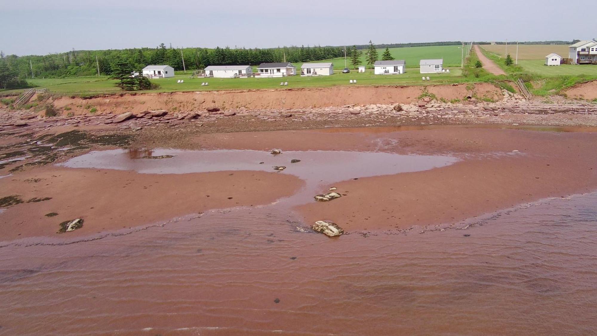 Cottages On Pei-Oceanfront Bedeque Εξωτερικό φωτογραφία